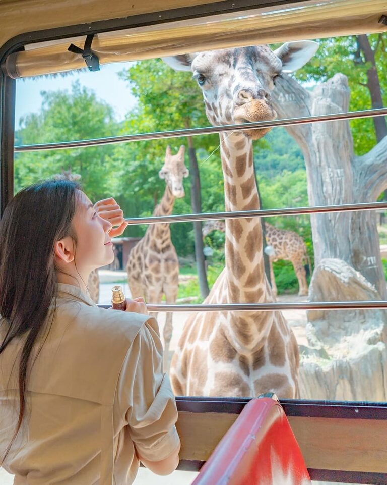 전국 동물원 아이와 가볼만한 곳 추천 Top 5 1 동물원 아이와 가볼만한 곳
