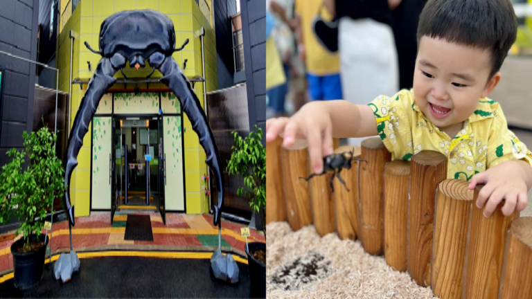 곤충박물관 가볼만한 곳 Top 5 1 곤충박물관/ 출처 : hw_jo_