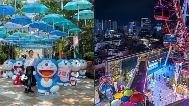 대구 아이와 가볼만한 곳 Top 5 1 대구 아이와 가볼만한 곳