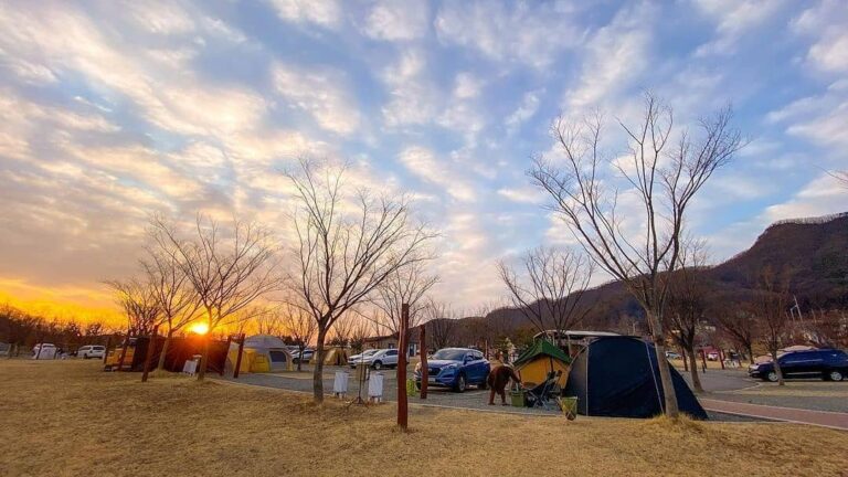 키즈 캠핑장 추천 가볼만한 곳 Top 5 1 키즈 캠핑장