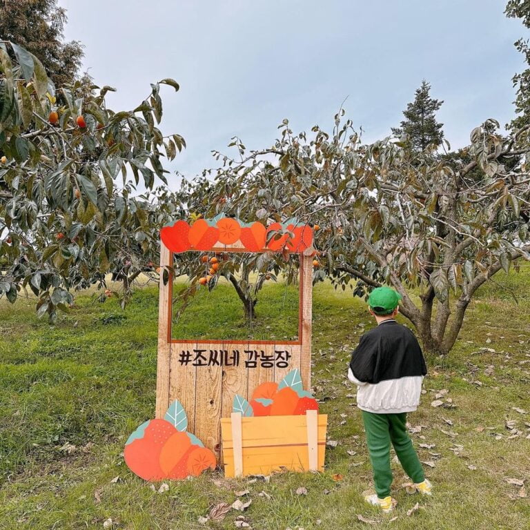 어린이 체험농장 가볼만한 곳 Top 7 1 어린이 체험농장 가볼만한 곳